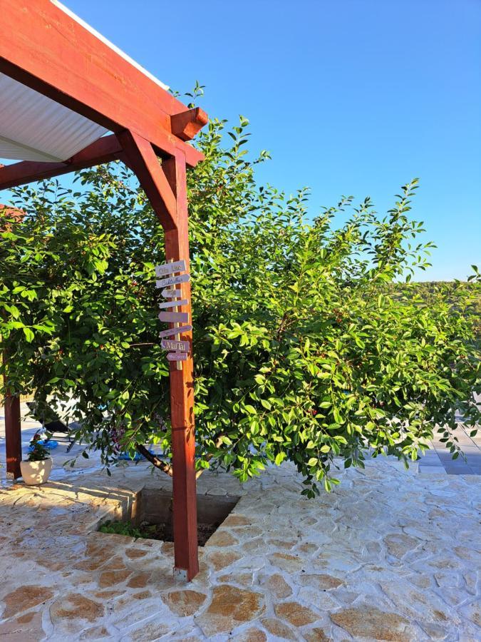 Guest House "The View" - With A Pool Donje Polje 외부 사진